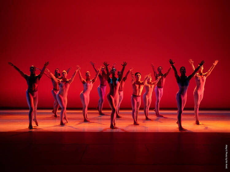 Ailey II: The Next Generation of Dance