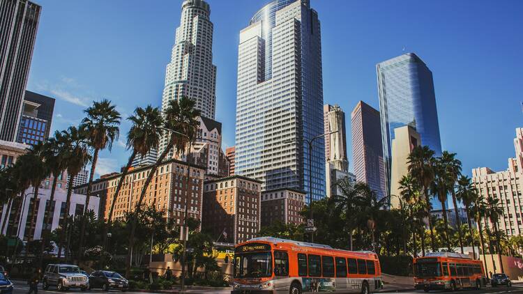 Skyscrapers with palm trees in the foreground and buses on a road. 