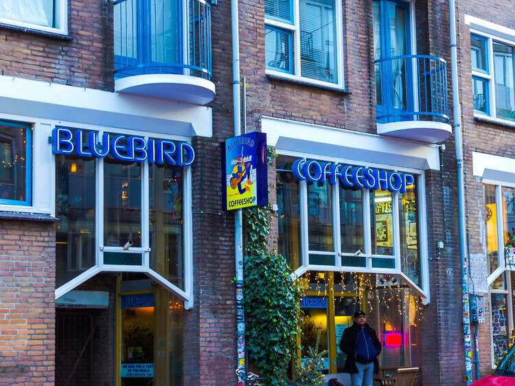 Bluebird Coffeeshop: The blue neon coffee shop sign.