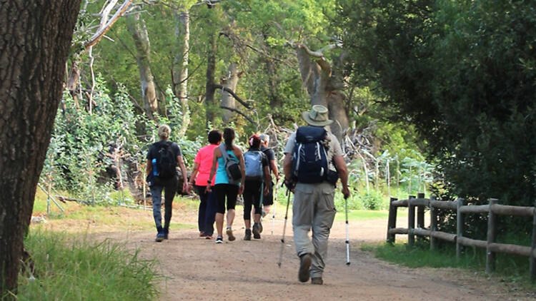 Vergelegen launches guided hiking trail