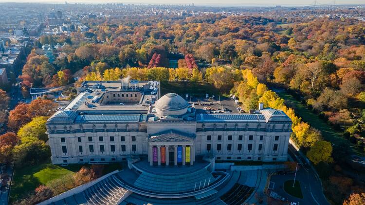 the Brooklyn Museum during Fall