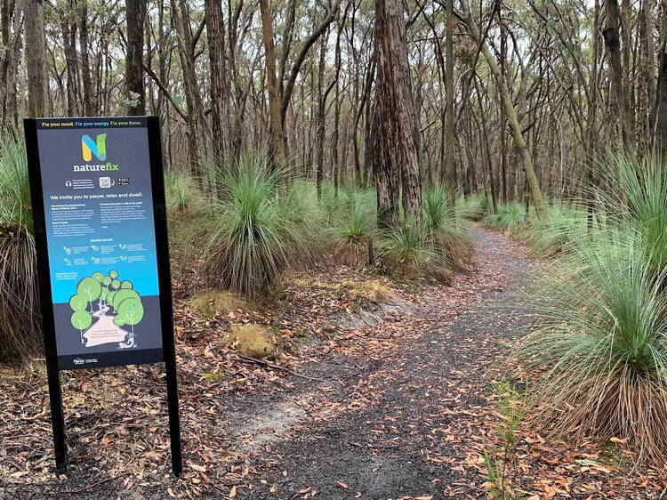 Walk on the wild side: explore these dreamy new wellness walking trails in regional Victoria