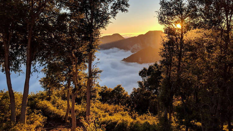 Mt. Wilson sunset