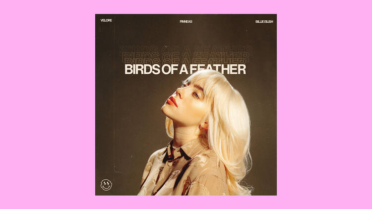 ‘Birds of a Feather’ by Billie Eilish