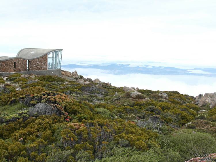 kunanyi/Mount Wellington