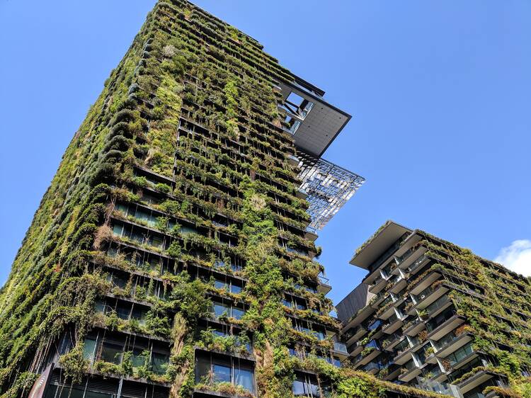 Hanging gardens on skyscraper