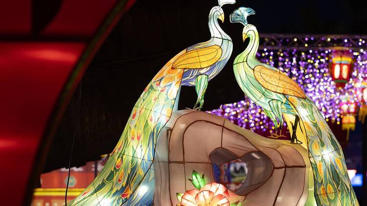 Lunar New Year Lantern Carnival 2025