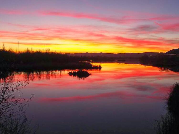 Laguna del Campillo