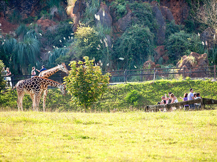 Parque de Cabárceno (Cantabria)