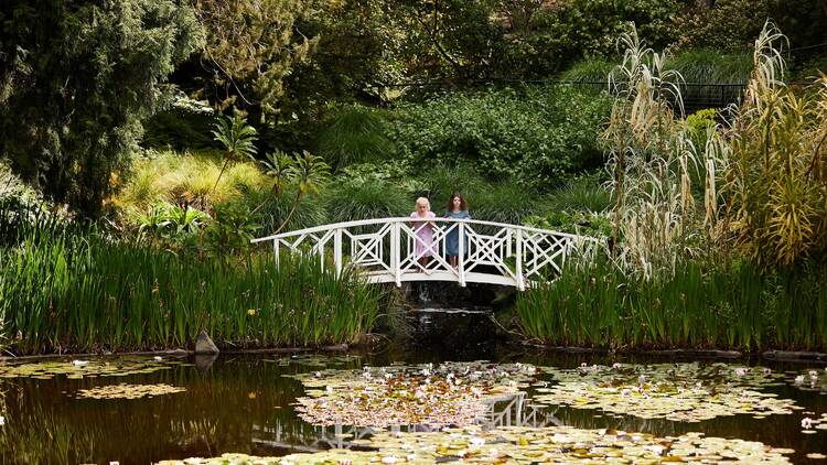 Green out at the Royal Tasmanian Botanical Gardens