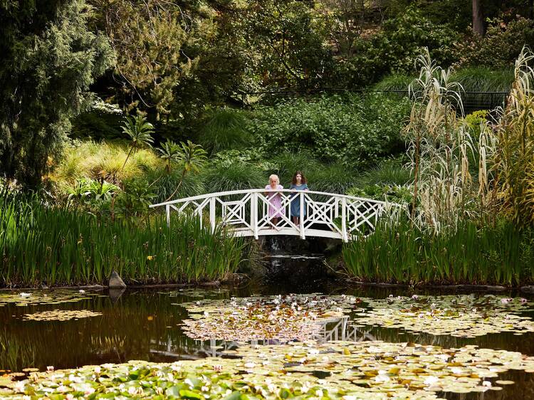 Green out at the Royal Tasmanian Botanical Gardens