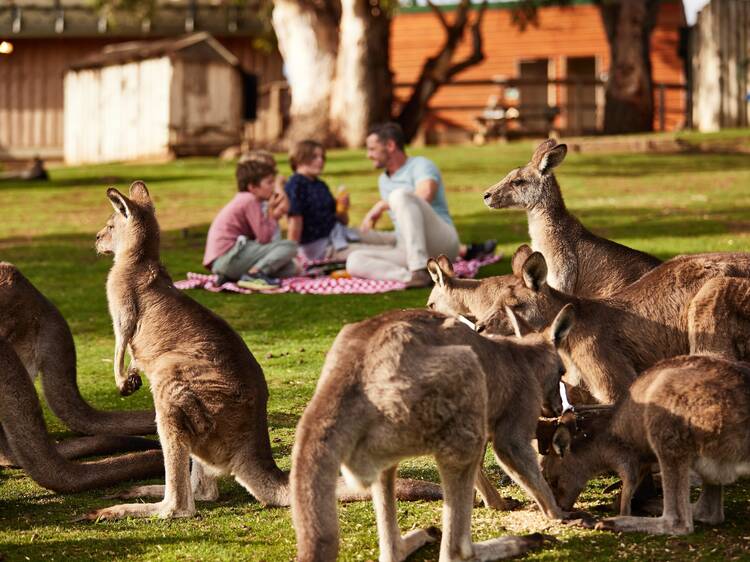 The 10 best things to do with kids in Hobart