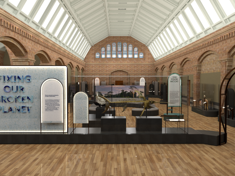 The Natural History Museum is opening a new gallery, and it’s free to visit