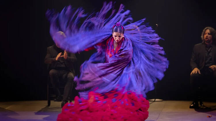 Archivo fotográfico La Bienal de Flamenco. @Laura León