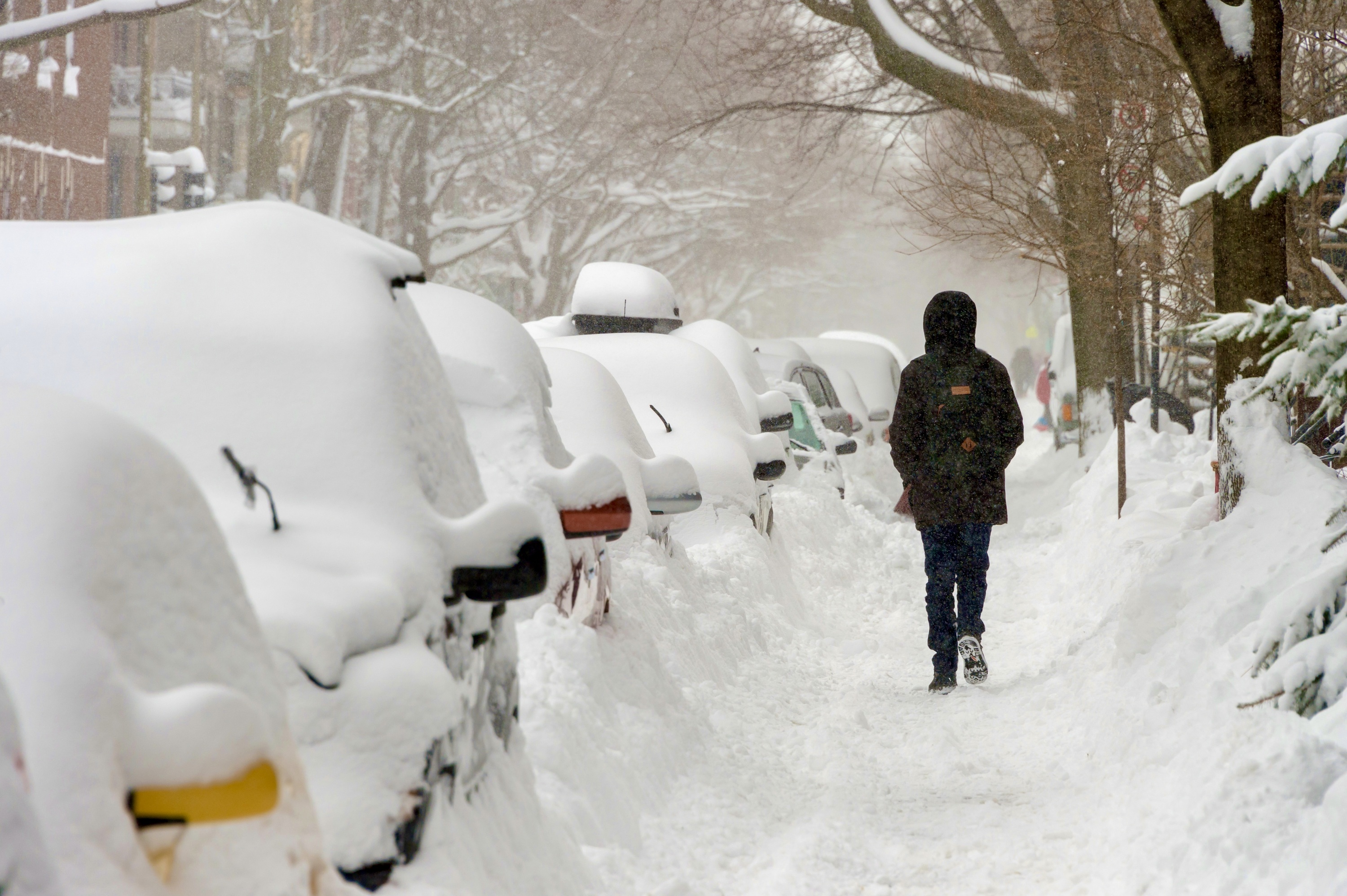 Montreal Braces for Major Winter Storm with Heavy Snowfall