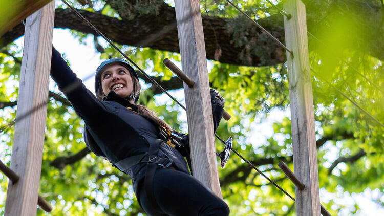 Trinity Forest Adventure Park