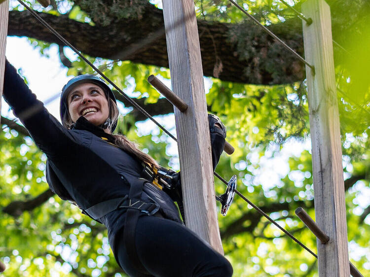 Trinity Forest Adventure Park