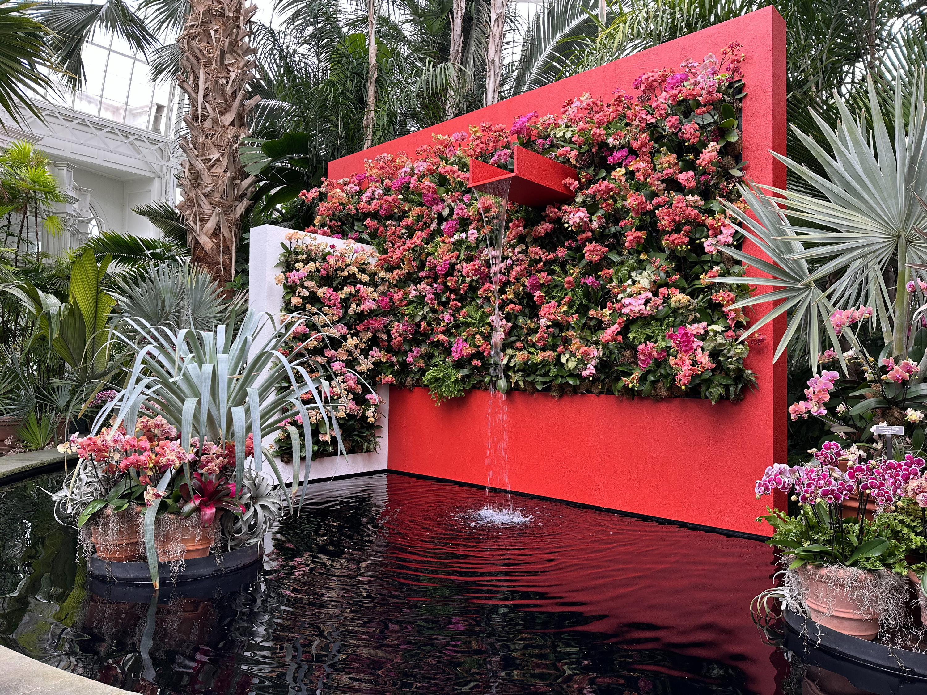 A variety of orchids against a red wall with a waterfall.
