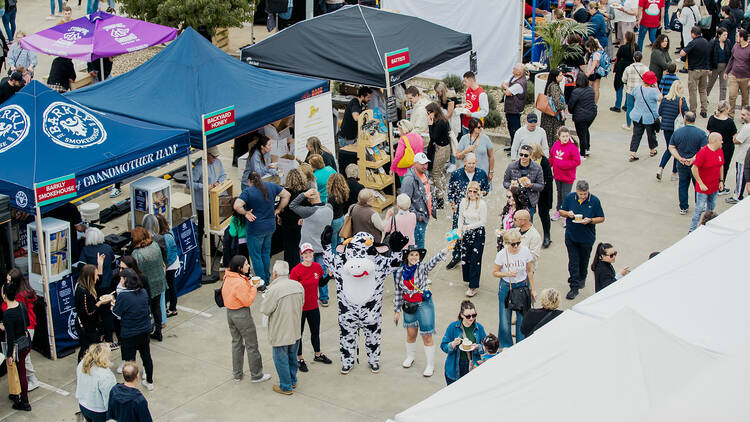 Crowds at the Ricotta Festival.