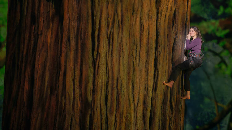 Idina Menzel climbs a tree in Redwood