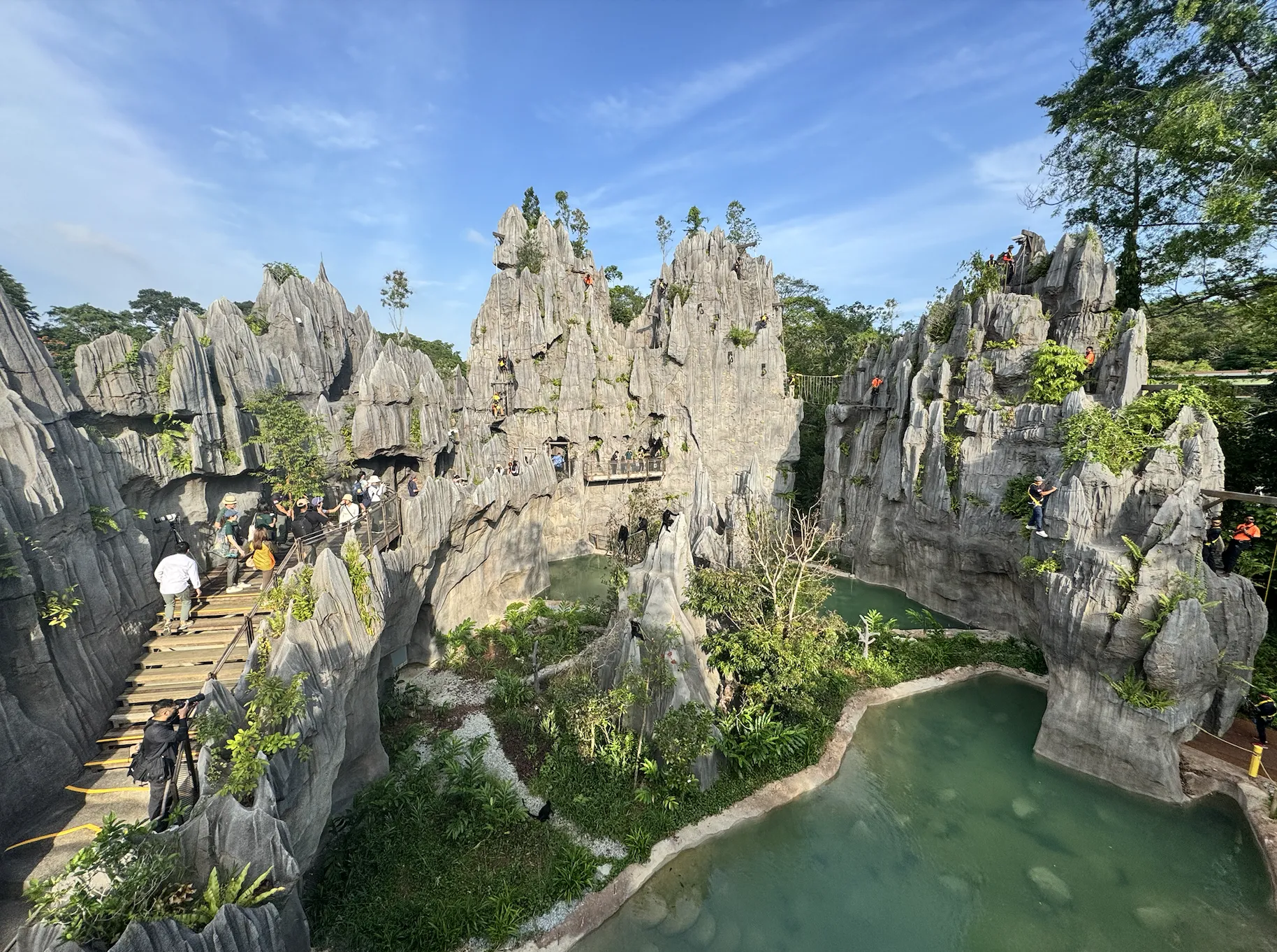 Rainforest Wild Asia