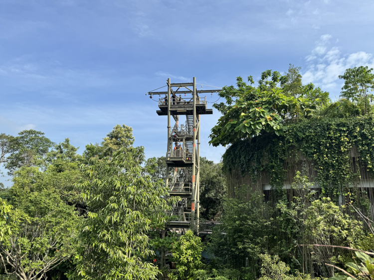 Canopy Jump