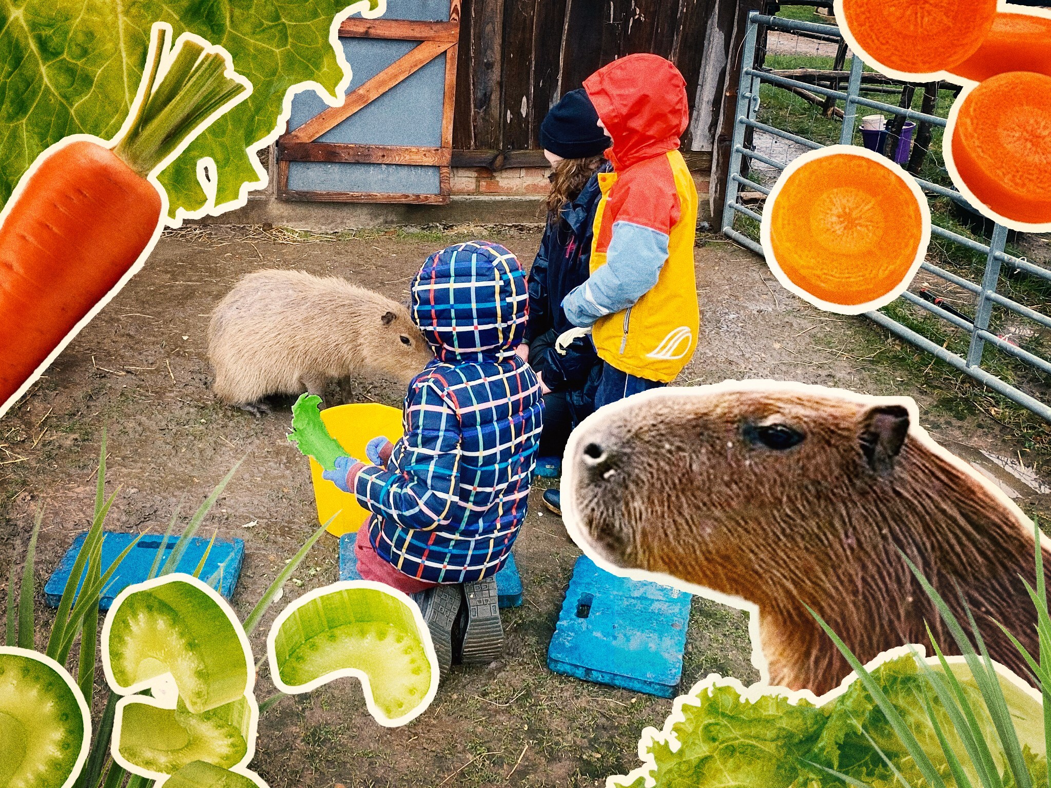 I drove to Zone 5 to pet a capybara for twenty minutes in the freezing cold, and it was totally worth it