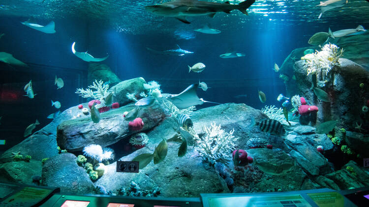 New York Aquarium