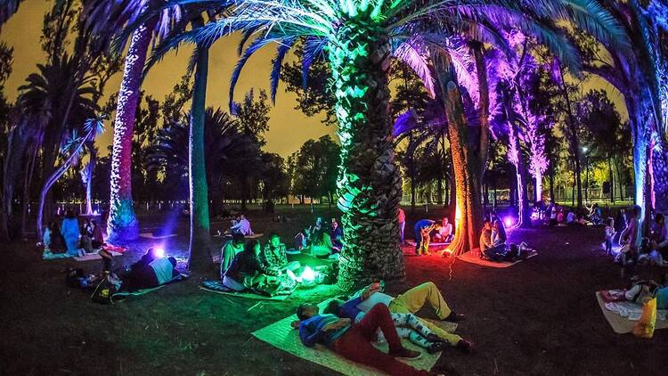 Picnic Nocturno en el Bosque de Chapultepec por el 14 de febrero