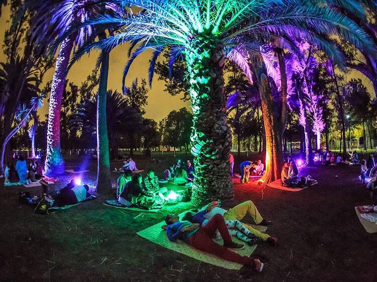 Picnic Nocturno en el Bosque de Chapultepec por el Día del Amor y la Amistad