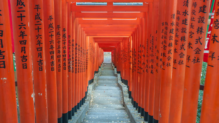 Discovering Tokyo’s secret, and most photogenic, shrine