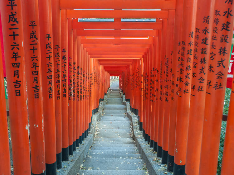 Discovering Tokyo’s secret, and most photogenic, shrine