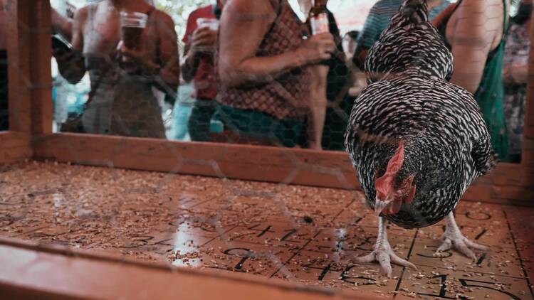 Chicken Sh*t Bingo at The Little Longhorn Saloon