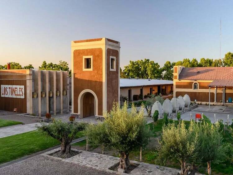 Bodega Los Toneles: una joya oculta en la Ciudad de Mendoza