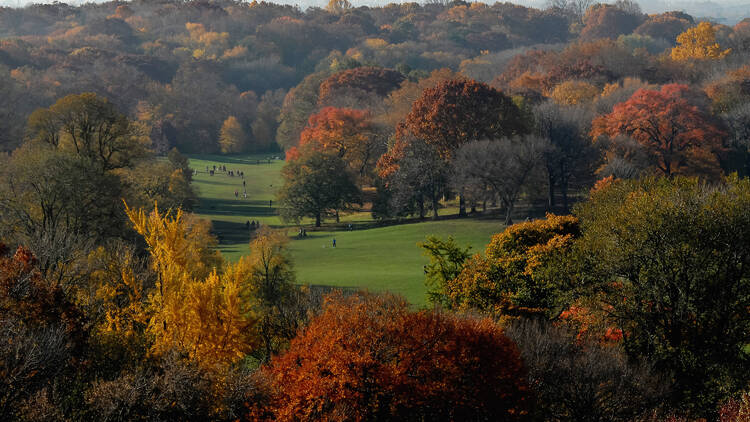 Prospect Park