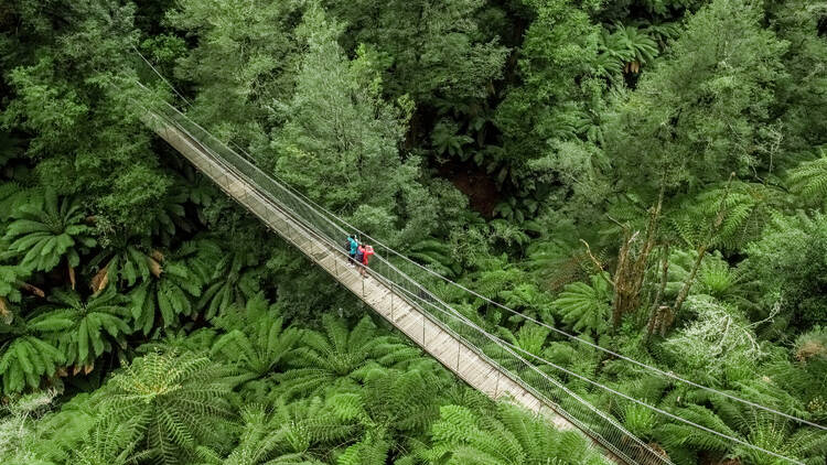 Tarra Bulga Swing Bridge