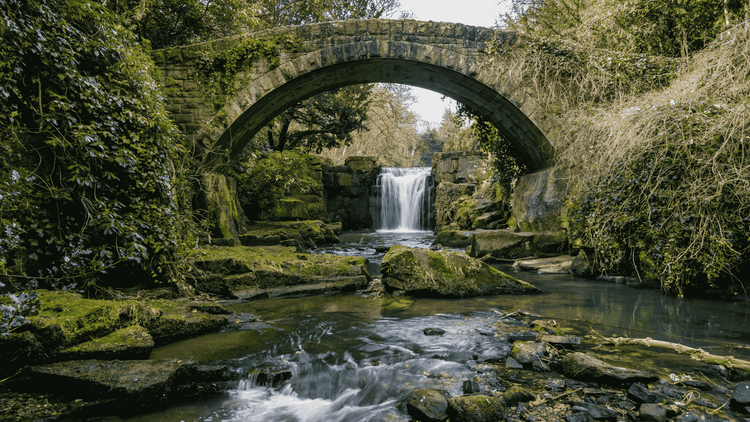 Jesmond Dene