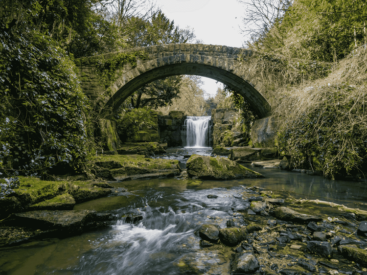 Jesmond Dene