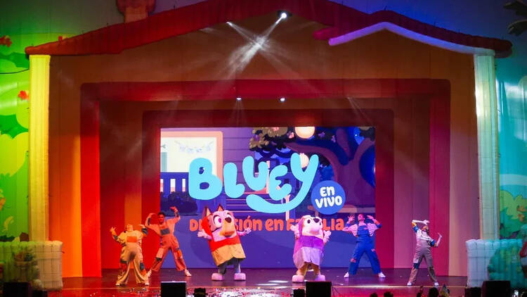 Bluey en vivo