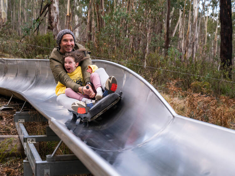 Kid and dad riding alpine slide