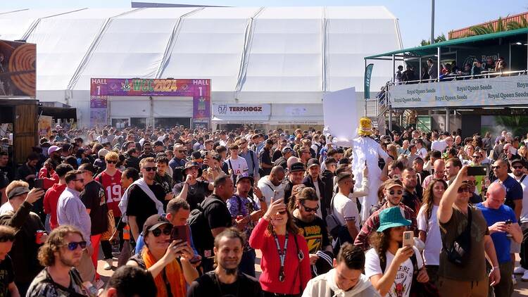 Spannabis 2025: el futuro del cannabis se decide en Barcelona