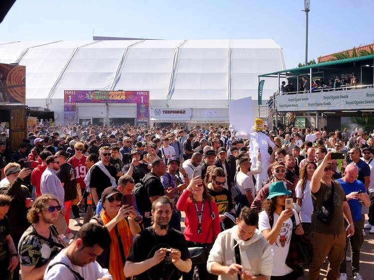 Spannabis 2025: el futuro del cannabis se decide en Barcelona