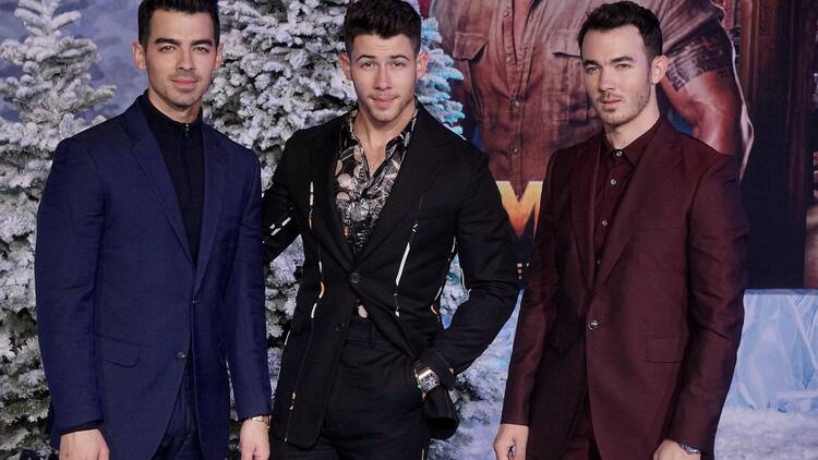 The Jonas Brothers