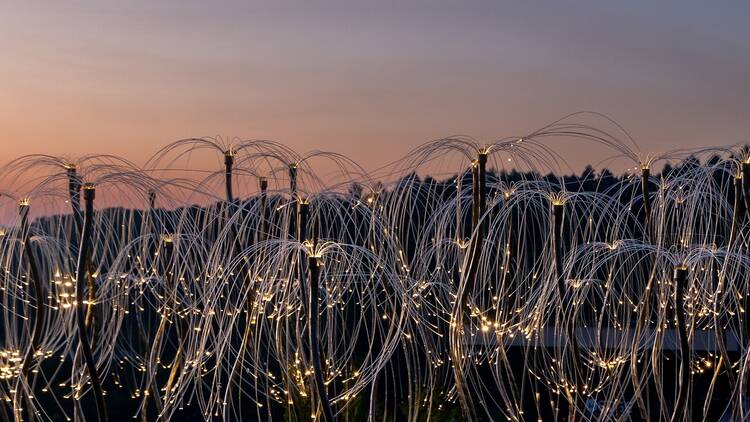 Multiple small, illuminated "fireflies" on a hill with a sunset in the background. 