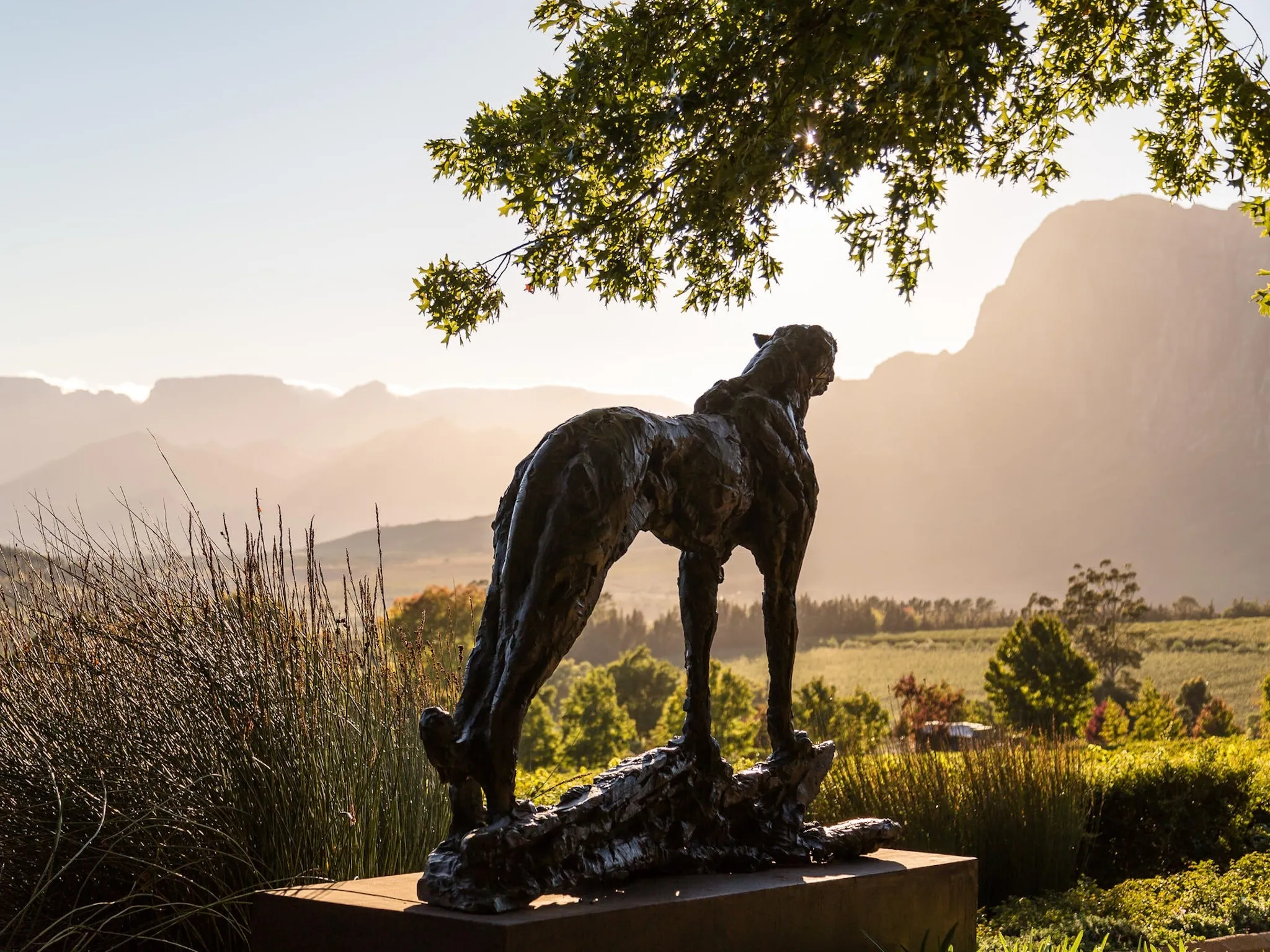 Delaire Graff Estate