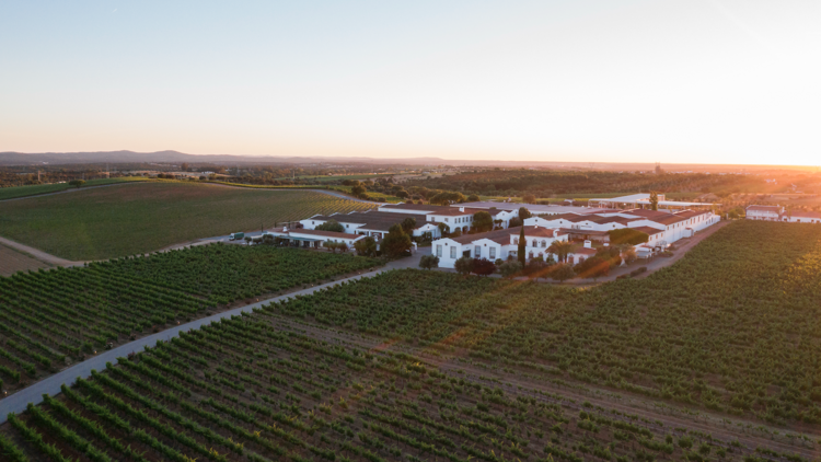 Marquês de Borba Fest by Time Out: vinho, música e gastronomia em Estremoz