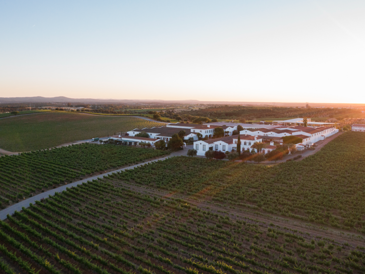 Marquês de Borba Fest by Time Out: vinho, música e gastronomia em Estremoz