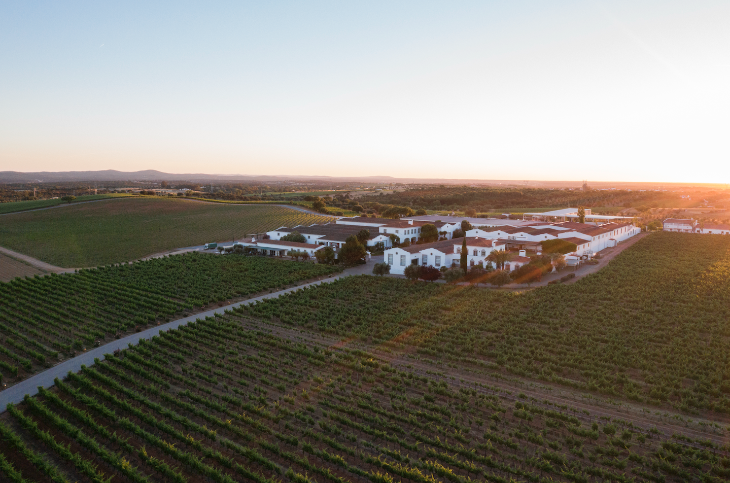 Marquês de Borba Fest by Time Out: vinho, música e gastronomia em Estremoz