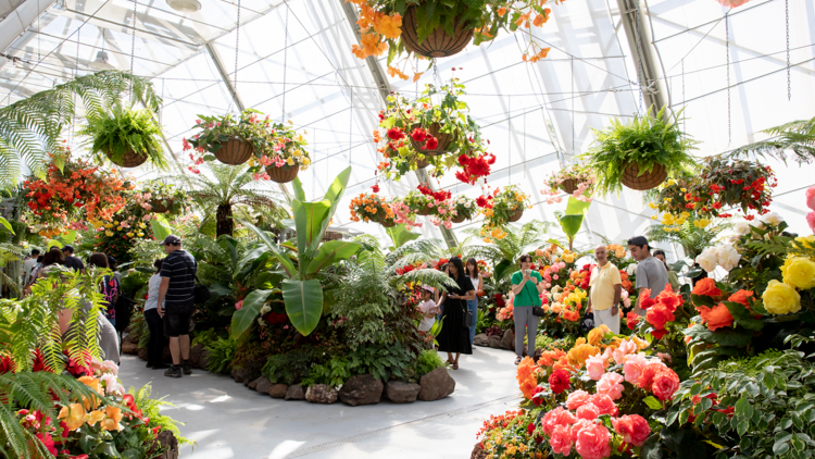 A display of flowers