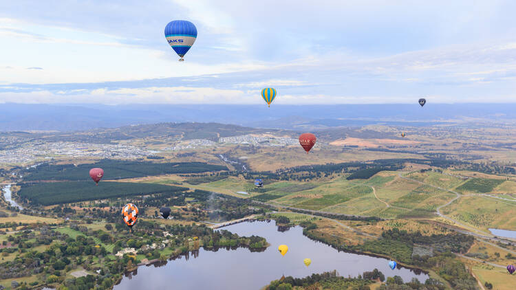 View of hot air balloons over Canberra